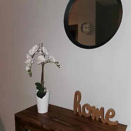 Naufragos 公寓 托雷维耶哈